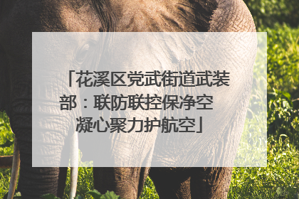 花溪区党武街道武装部：联防联控保净空 凝心聚力护航空